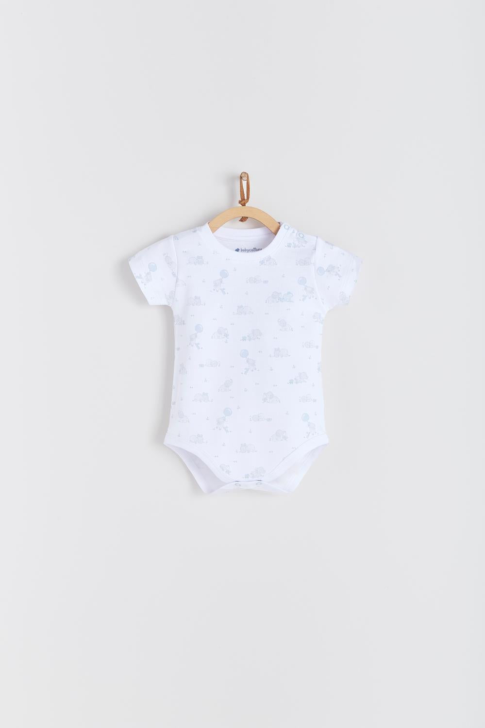 Body Taylor Alfred Celeste