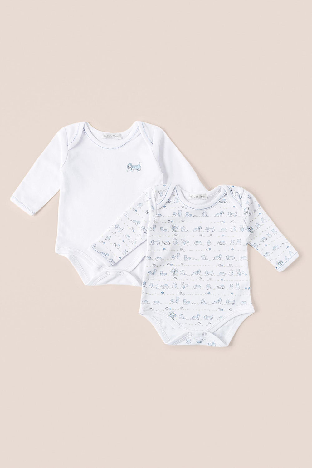 Set body in the woods ML x 2 E celeste