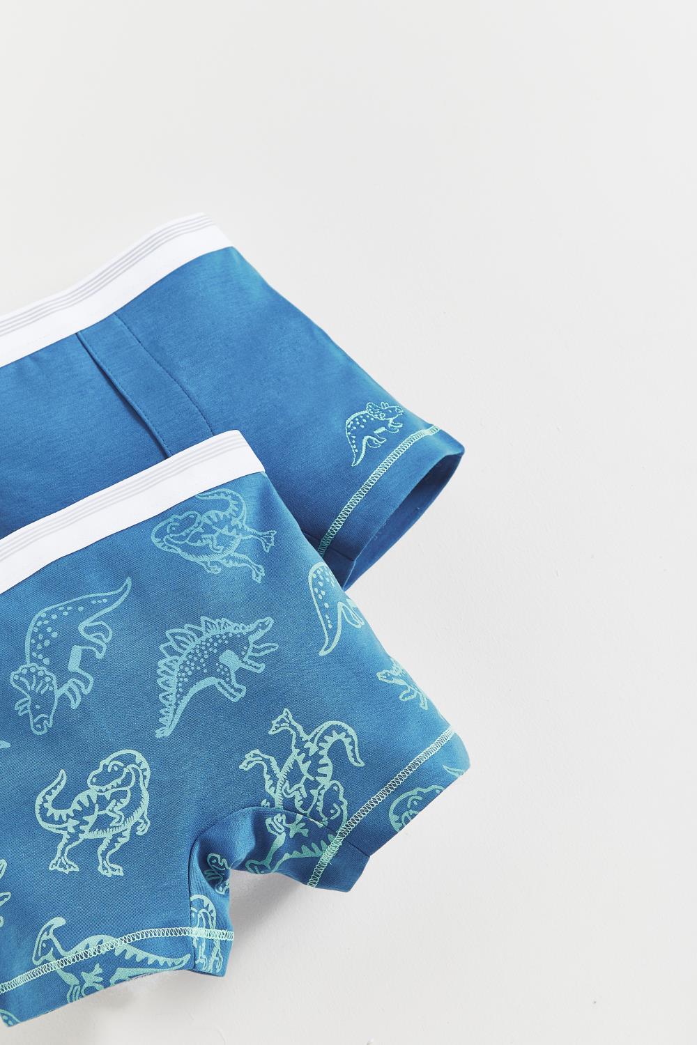 Set Boxer x2  Rex
