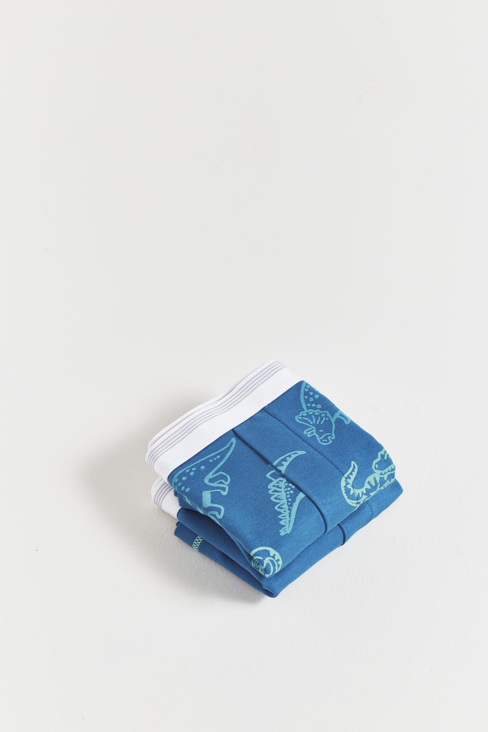 Set Boxer x2  Rex