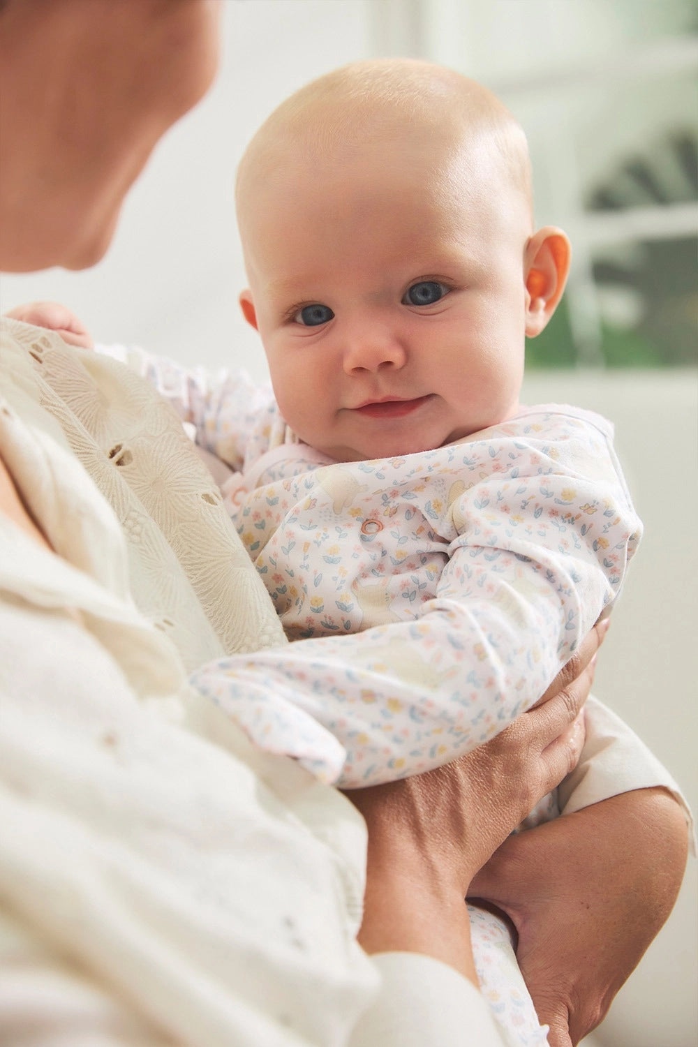 Enterito Toby Caramel