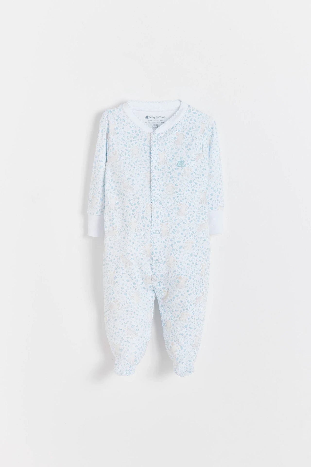 Enterito toby Peanut