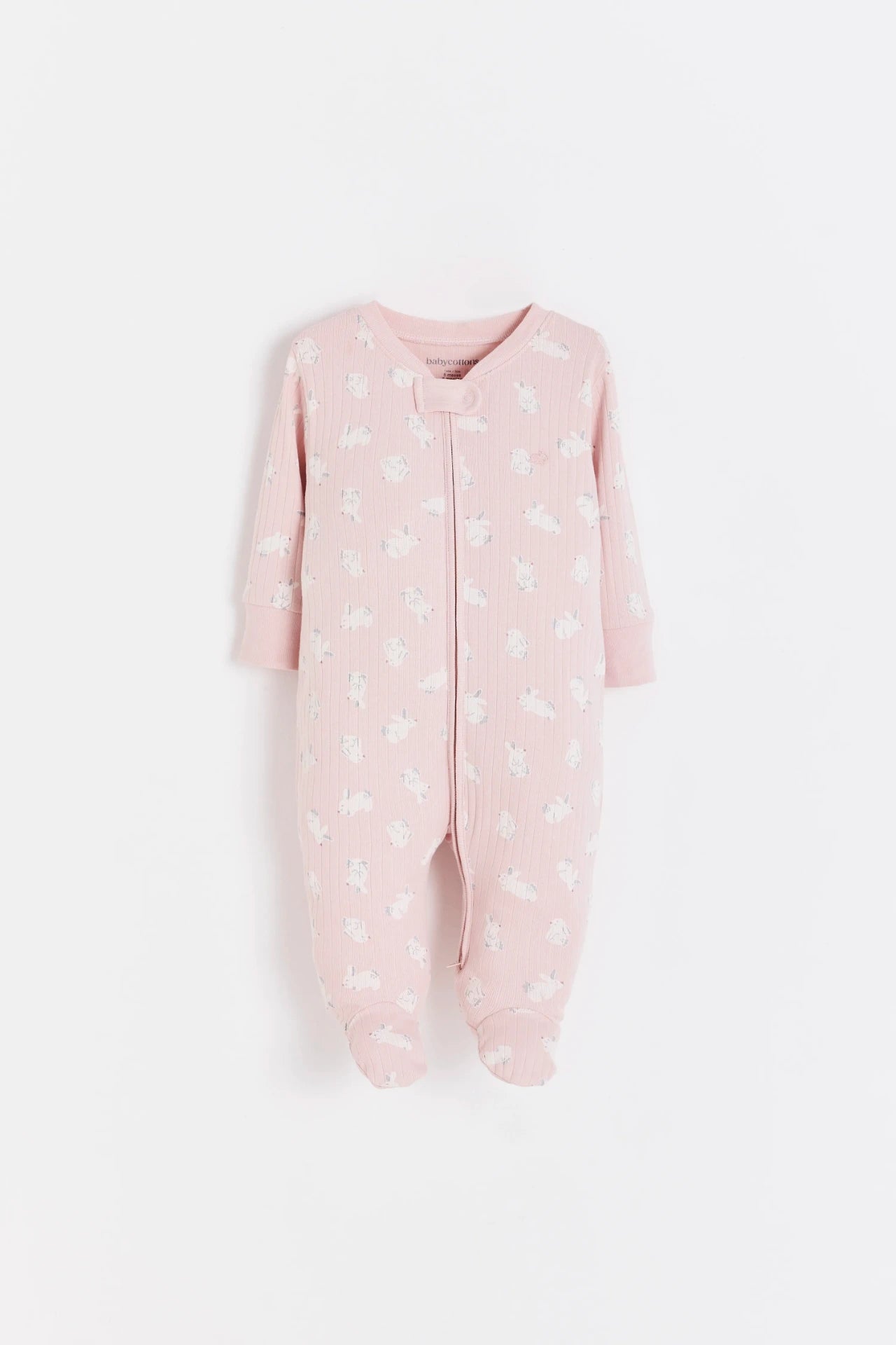 Enterito Jill Hoppers