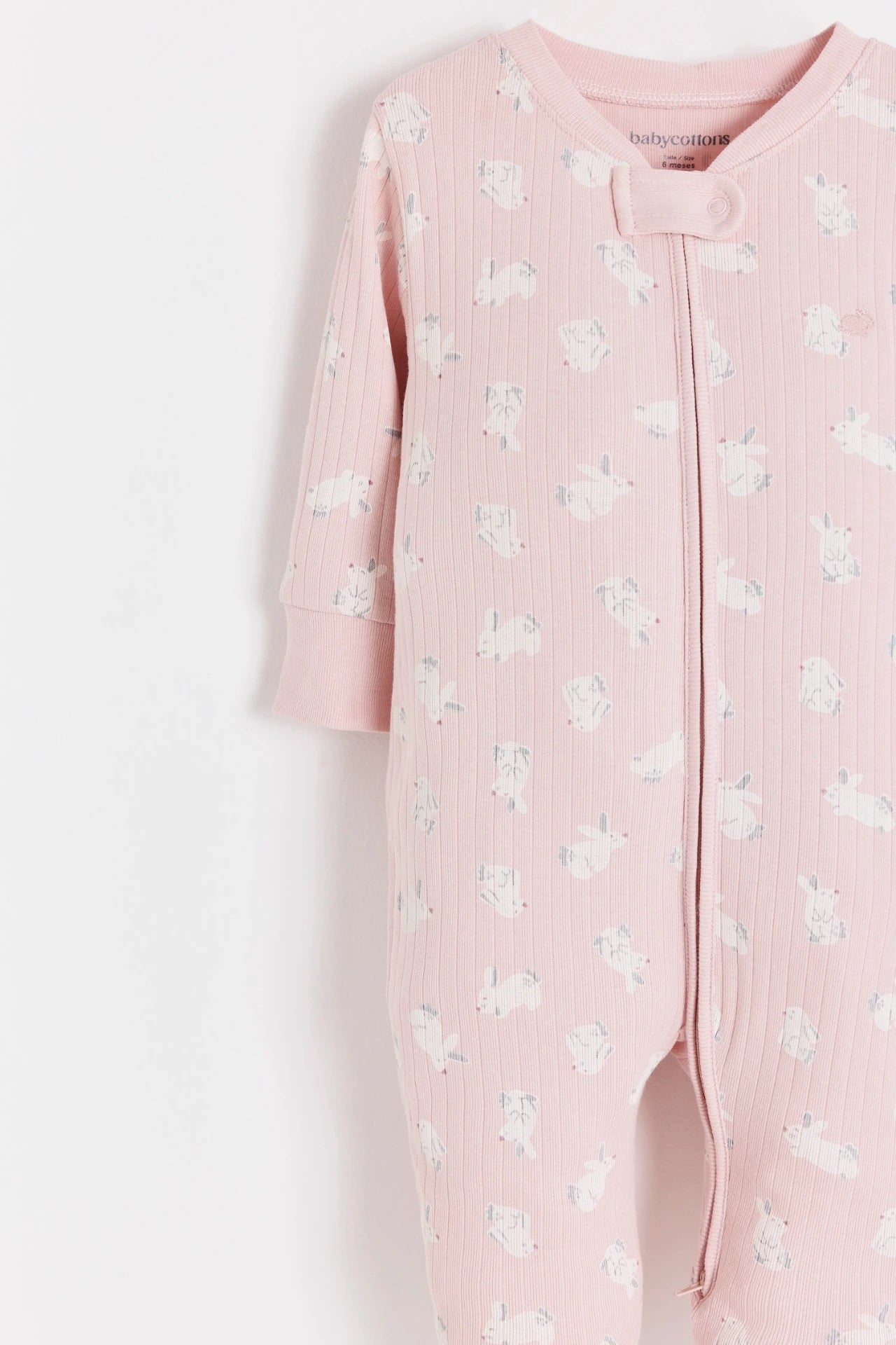 Enterito Jill Hoppers