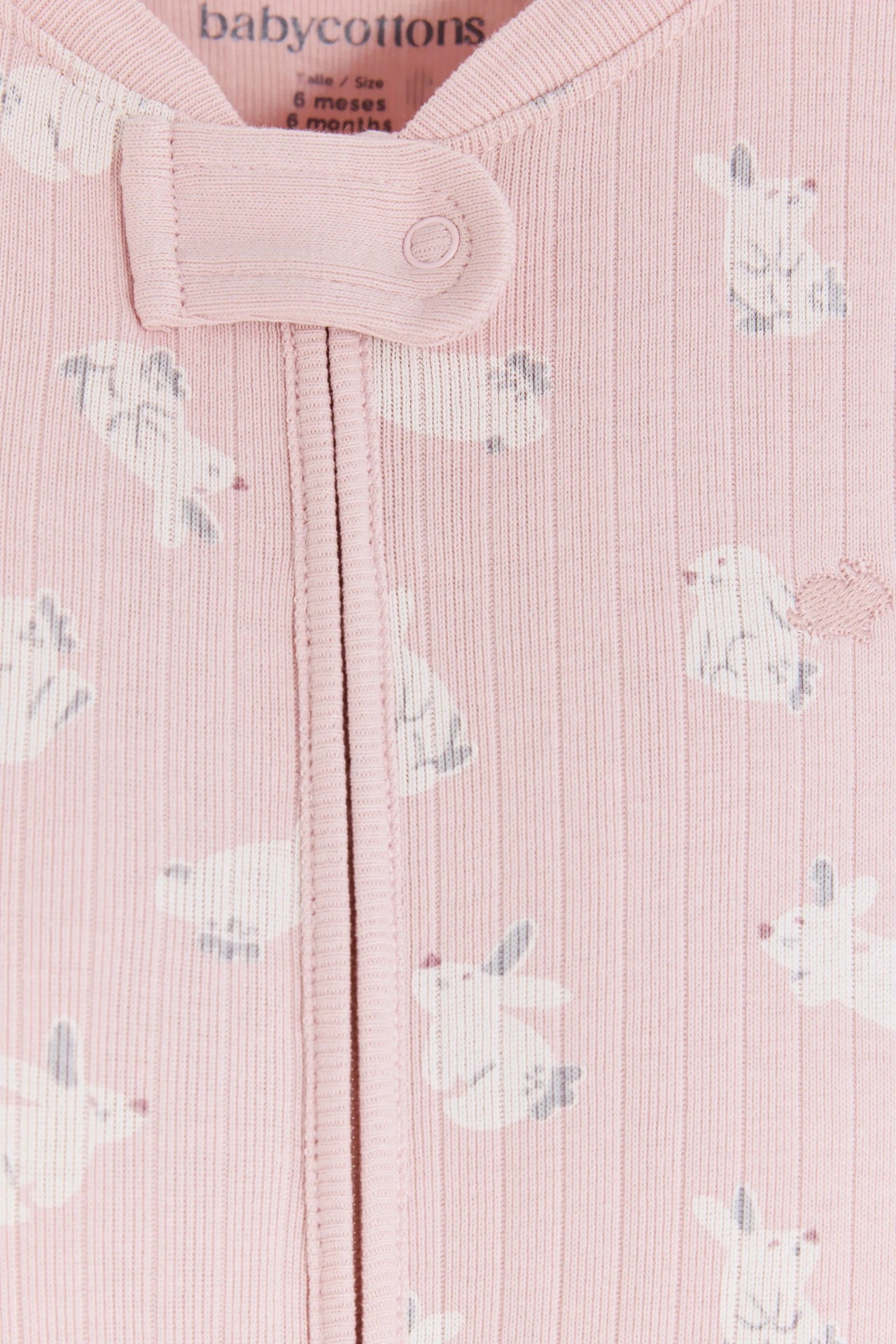 Enterito Jill Hoppers