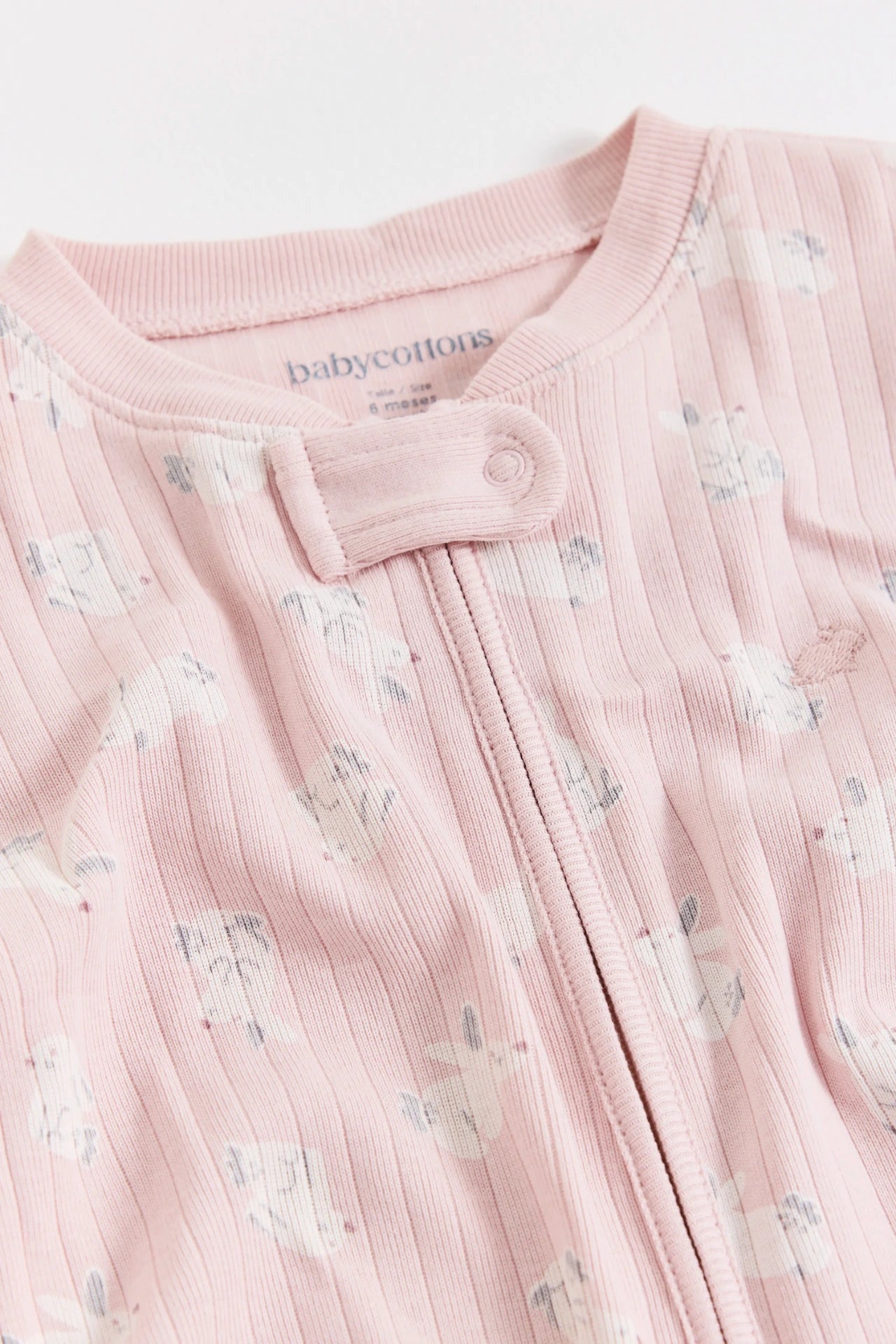 Enterito Jill Hoppers