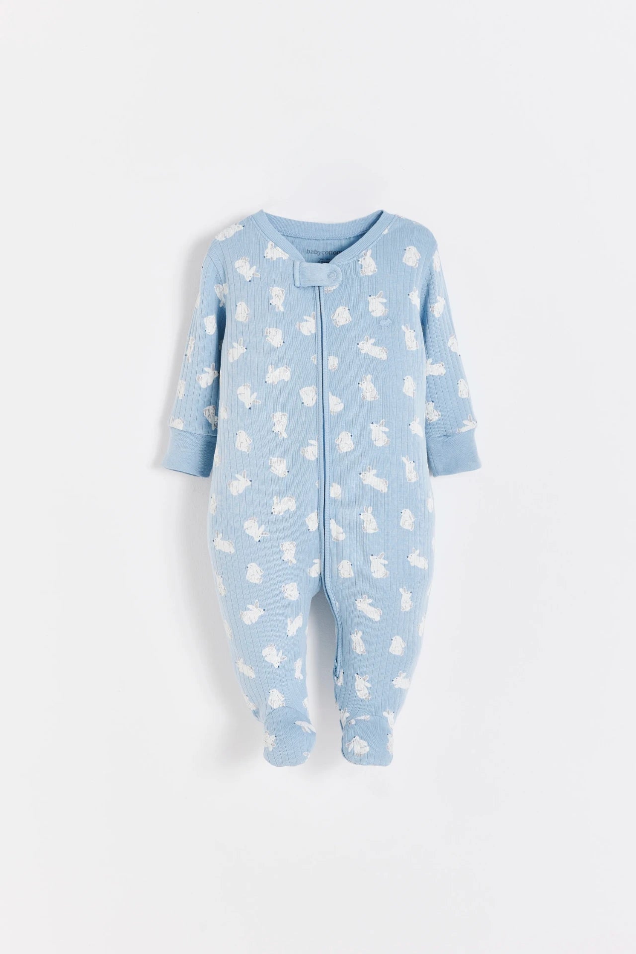 Enterito Jill Hoppers