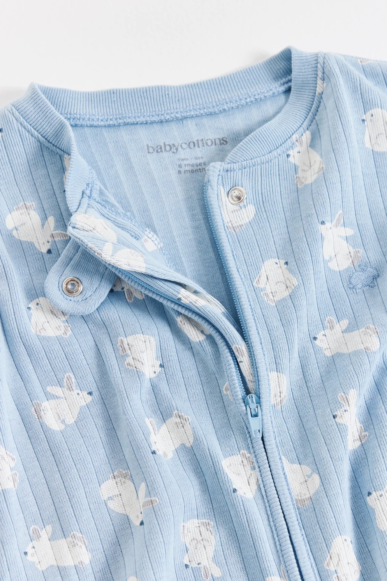 Enterito Jill Hoppers