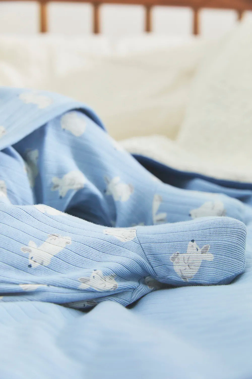 Enterito Jill Hoppers