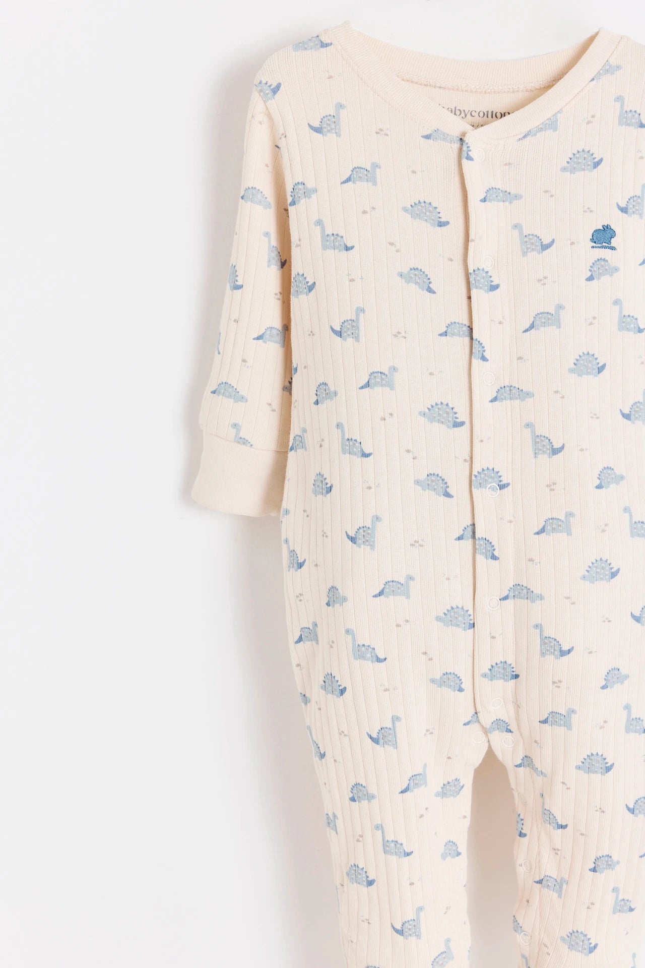 Enterito Jill Dinomyte