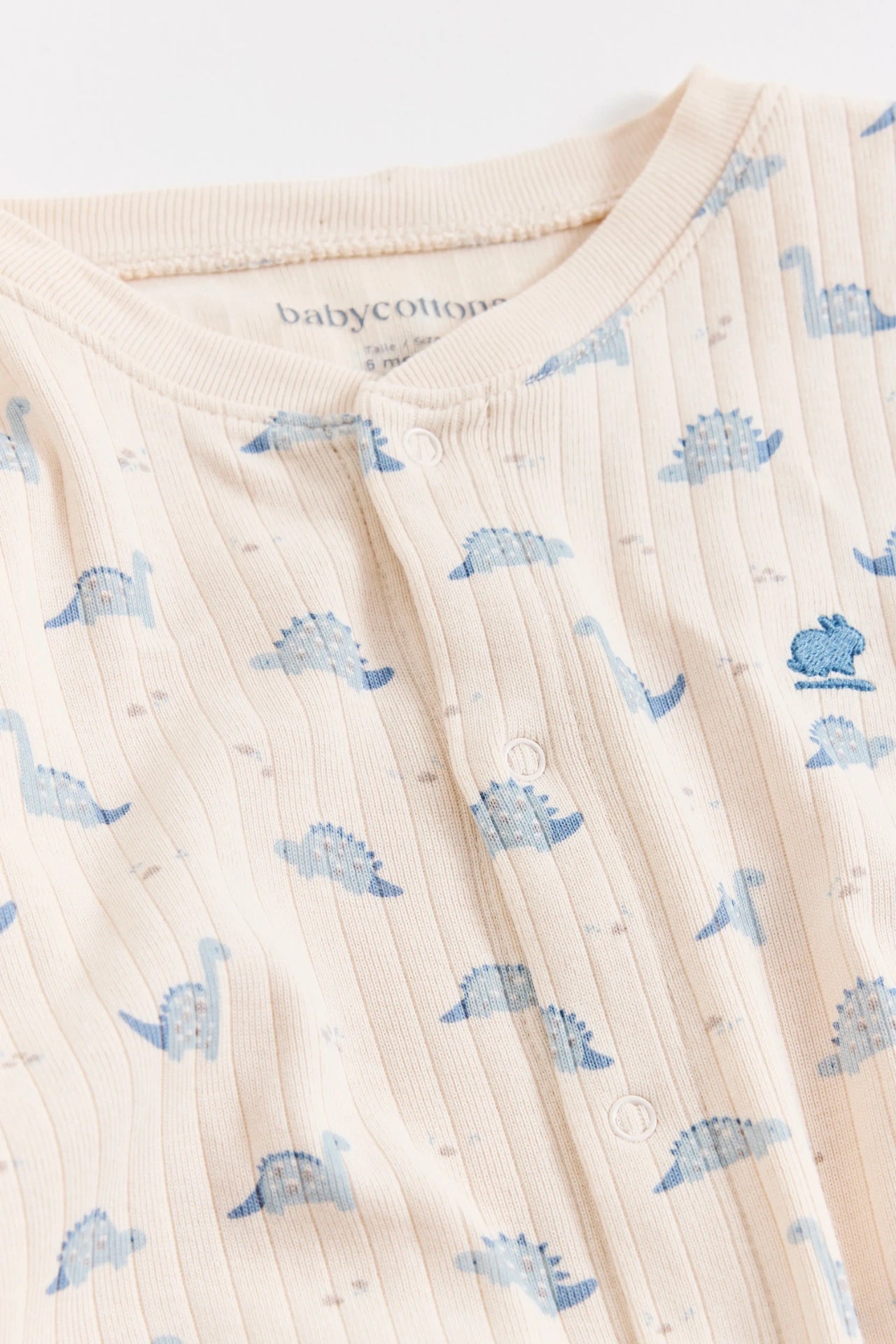 Enterito Jill Dinomyte