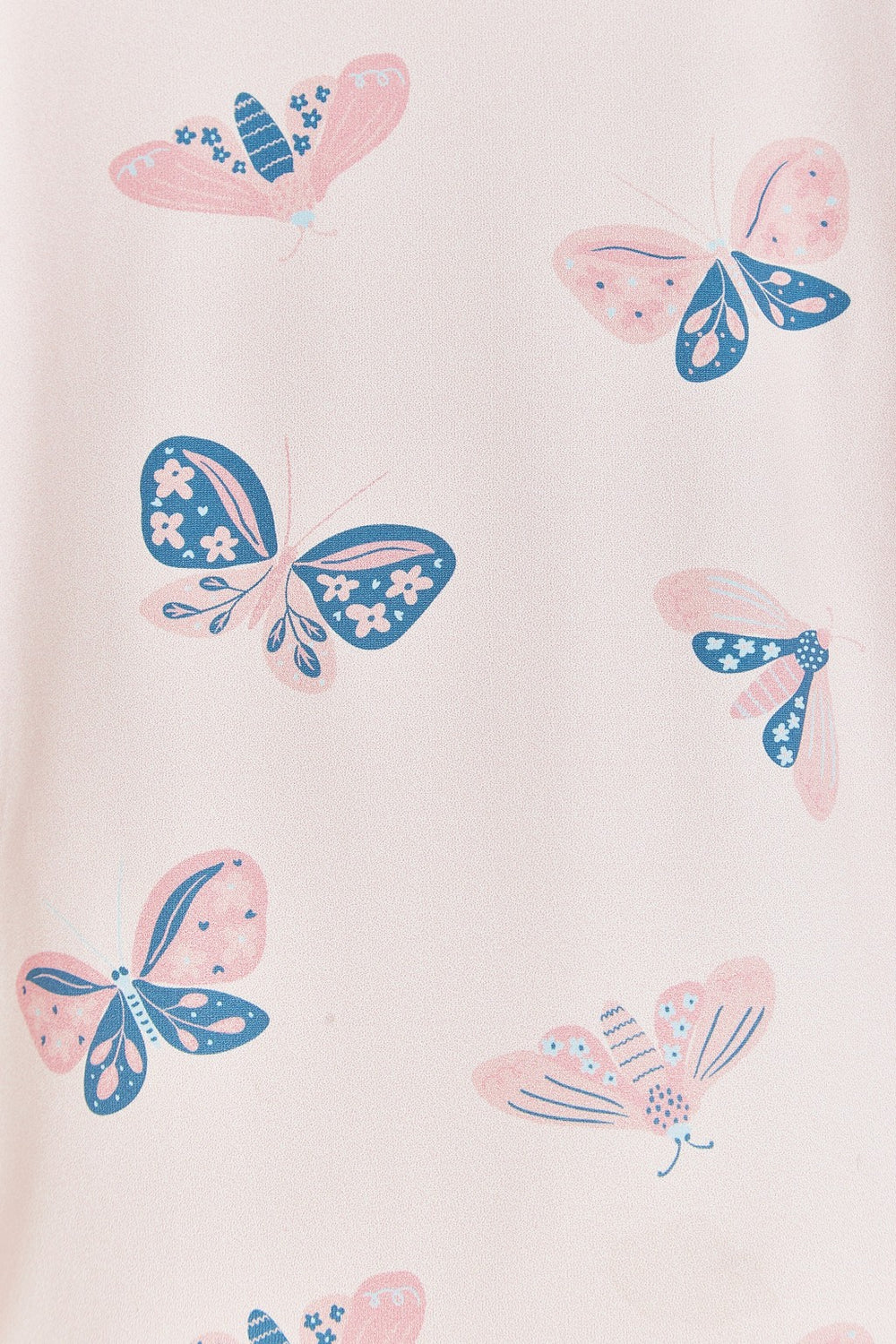 Enterito Beach Butterfly