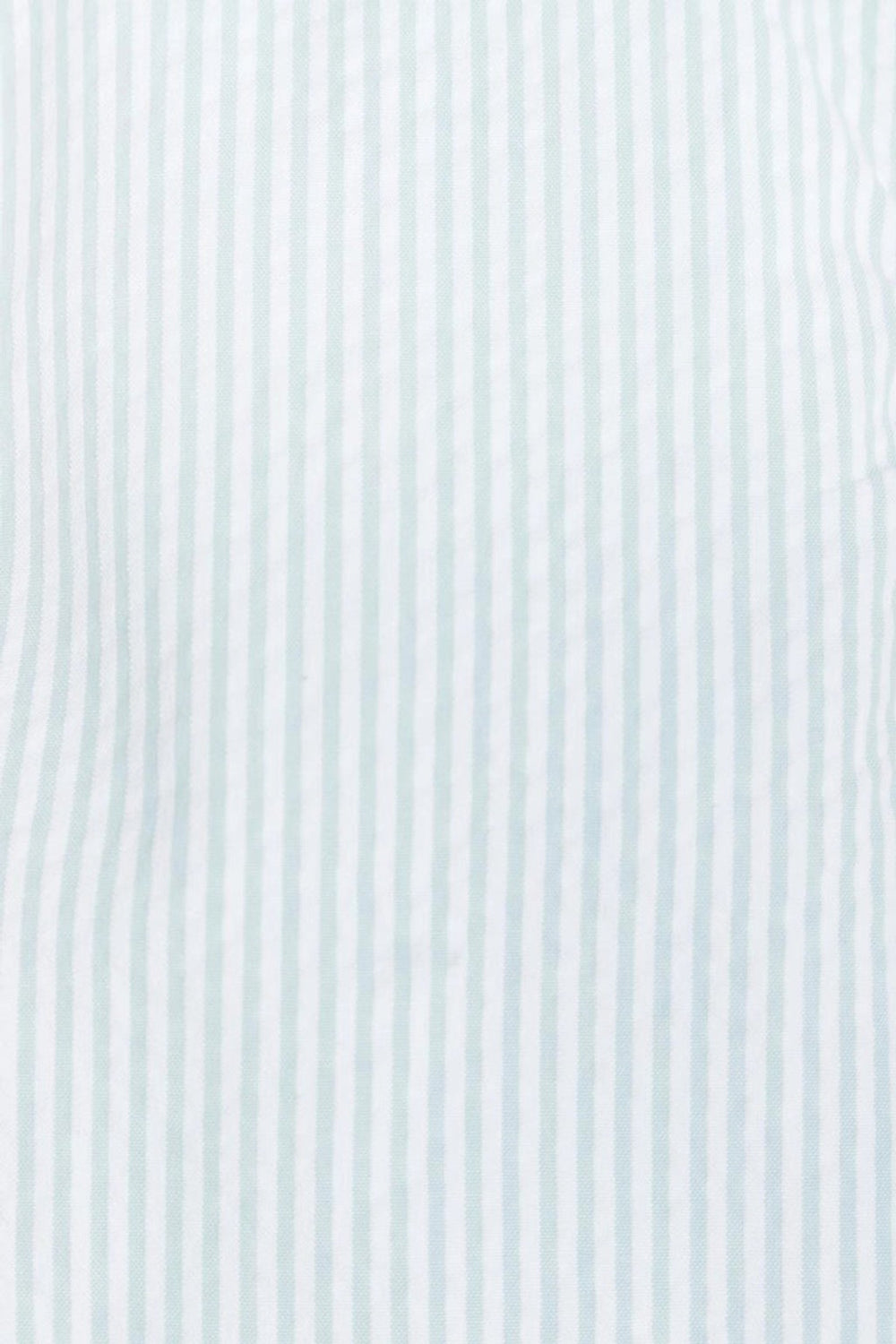 Shortall Rami Circus