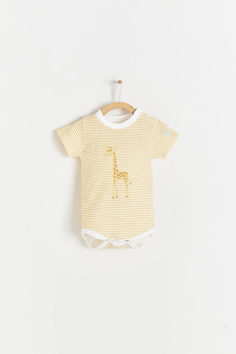 Body Sunset Giraffe