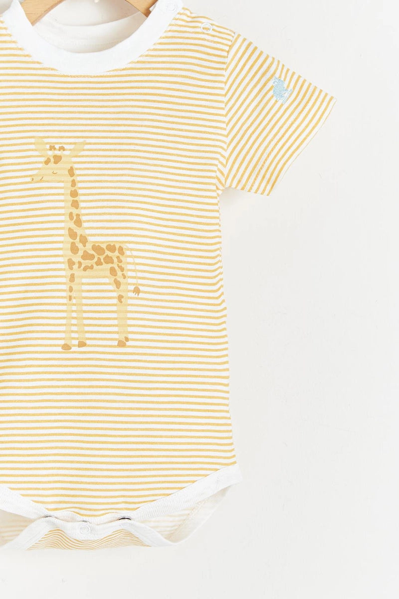 Body Sunset Giraffe