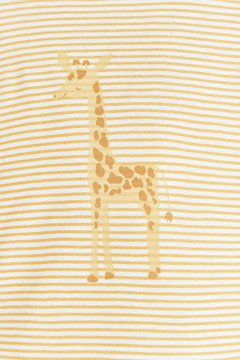 Body Sunset Giraffe