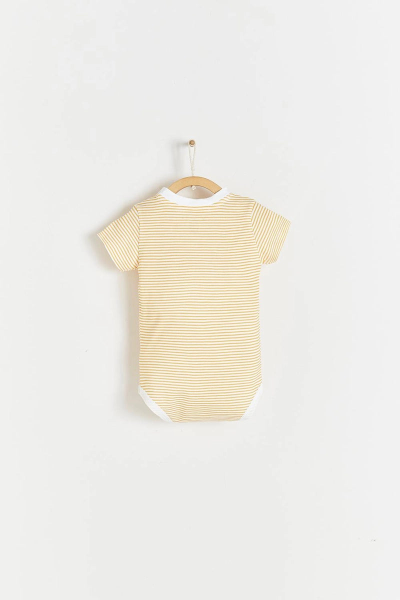 Body Sunset Giraffe