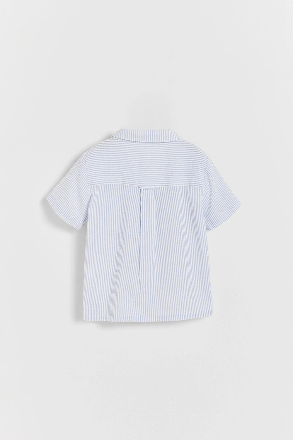 T shirt Thomas Harbour