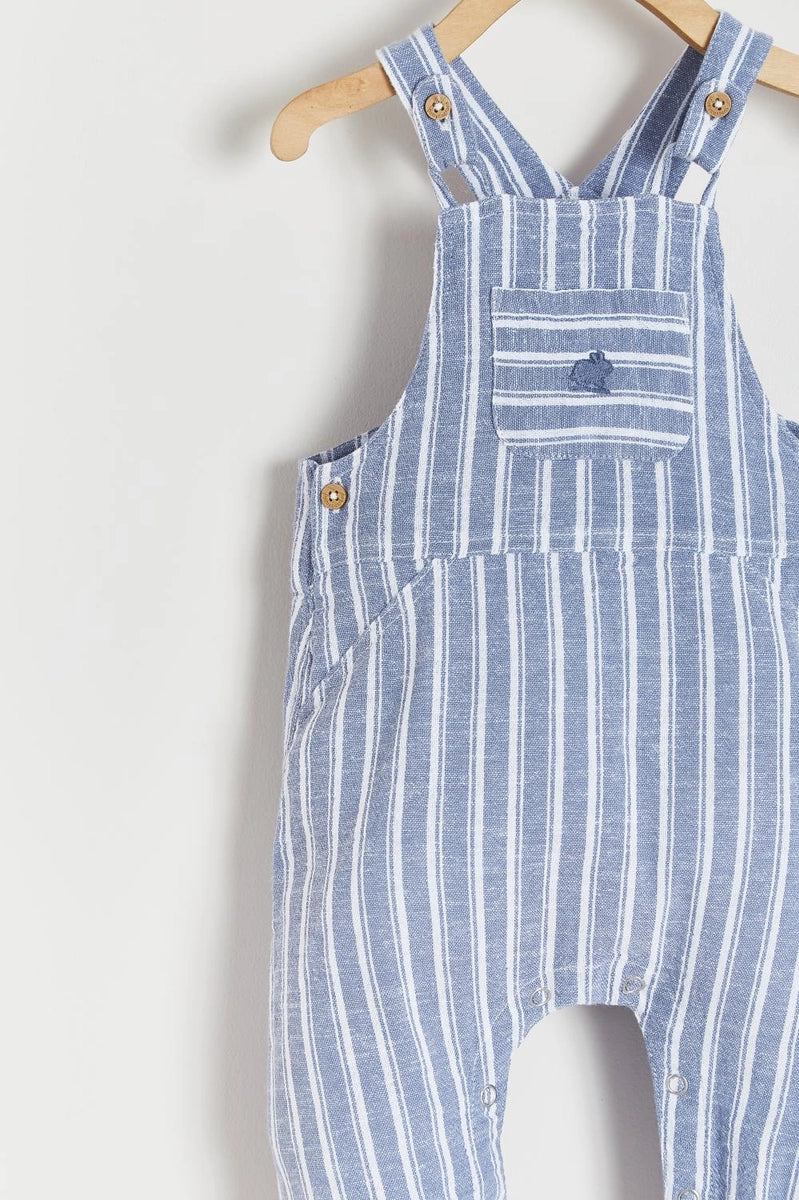 Overall Ray Rani