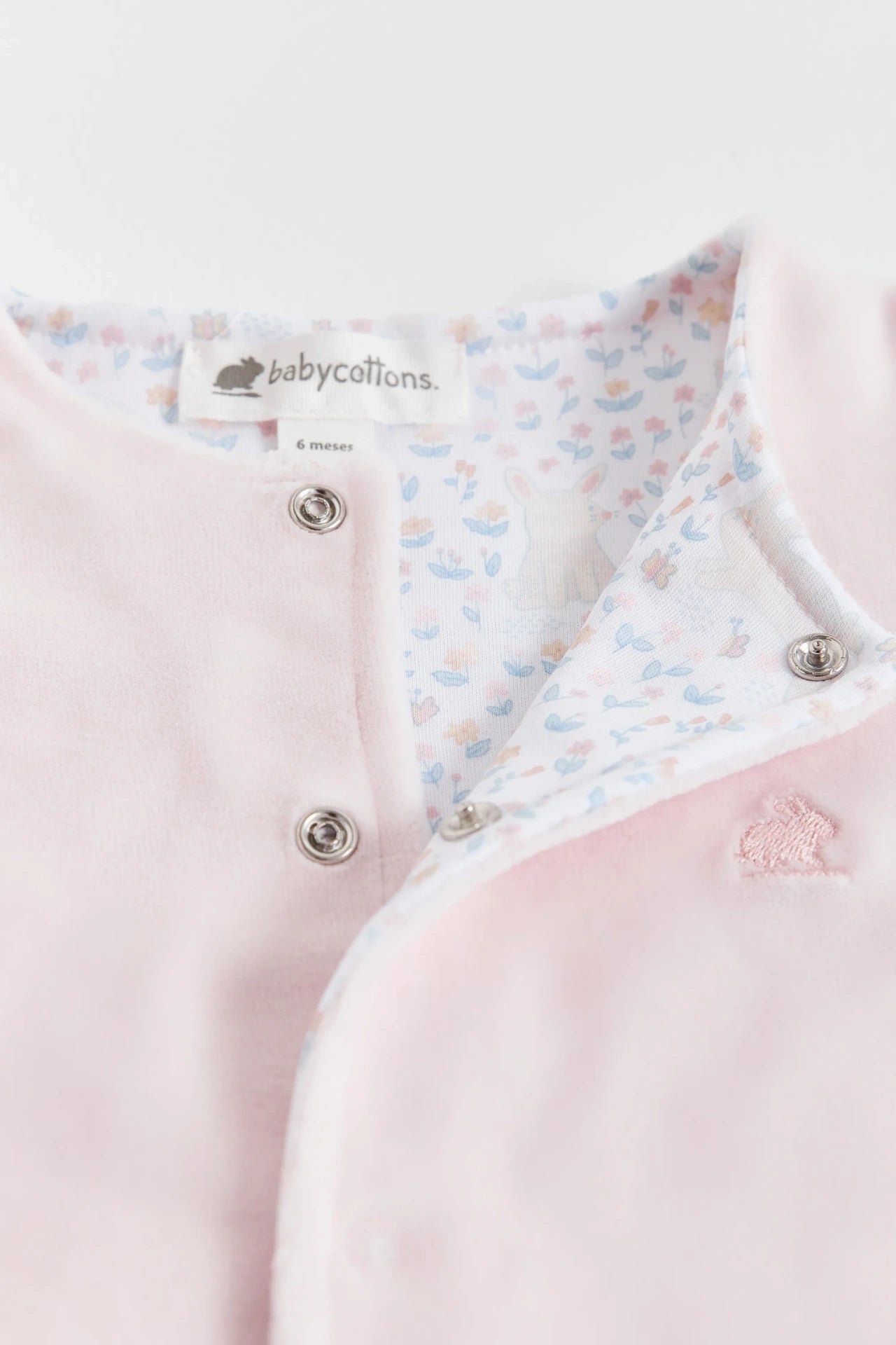 Enterito  Caramel Plush