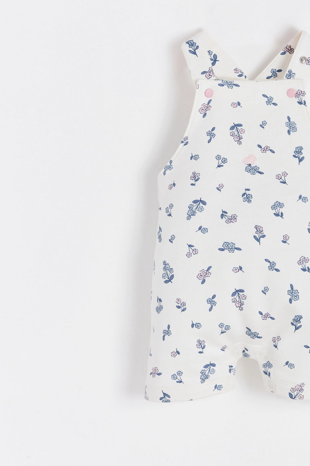 Overall Moon Carline