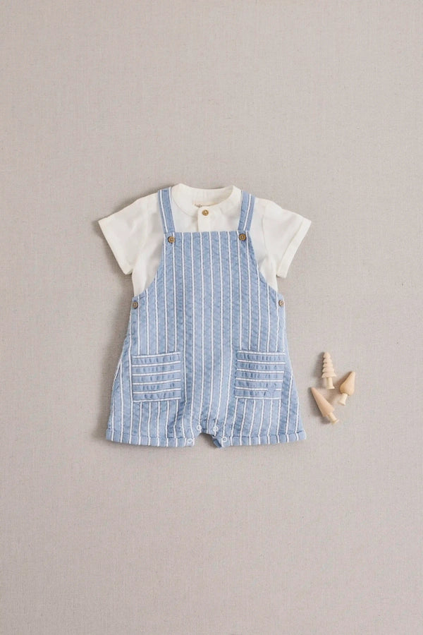 Shortall Tim Nimes