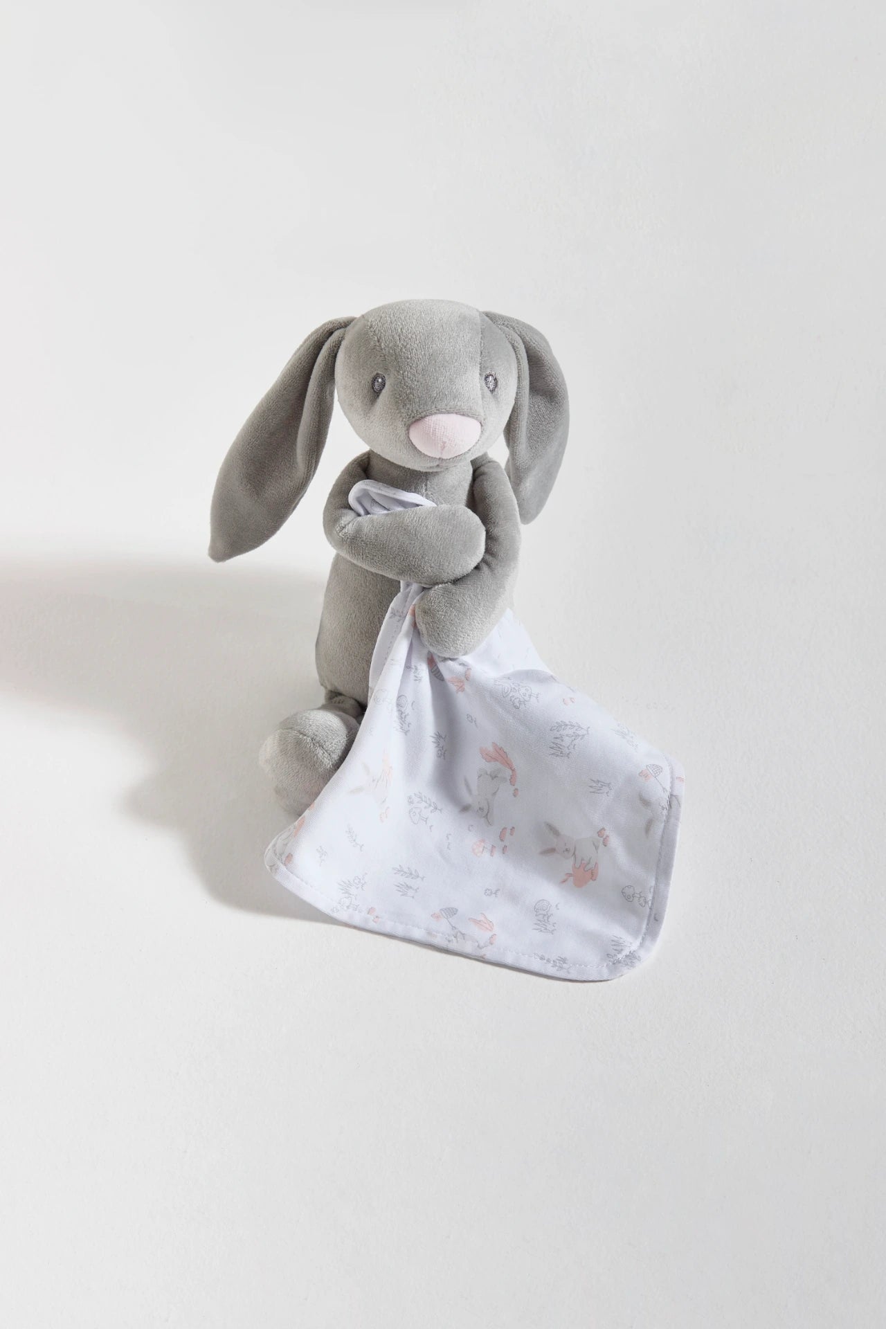 Bunny Pet R
