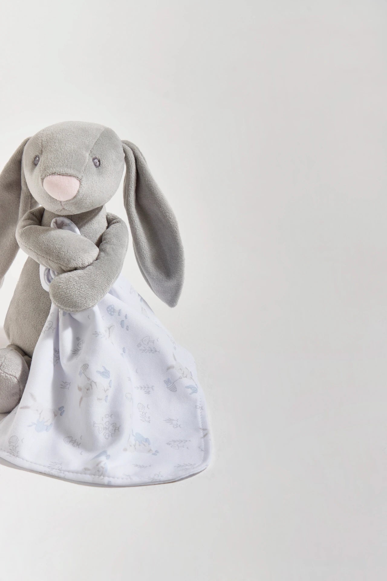 Bunny Pet C