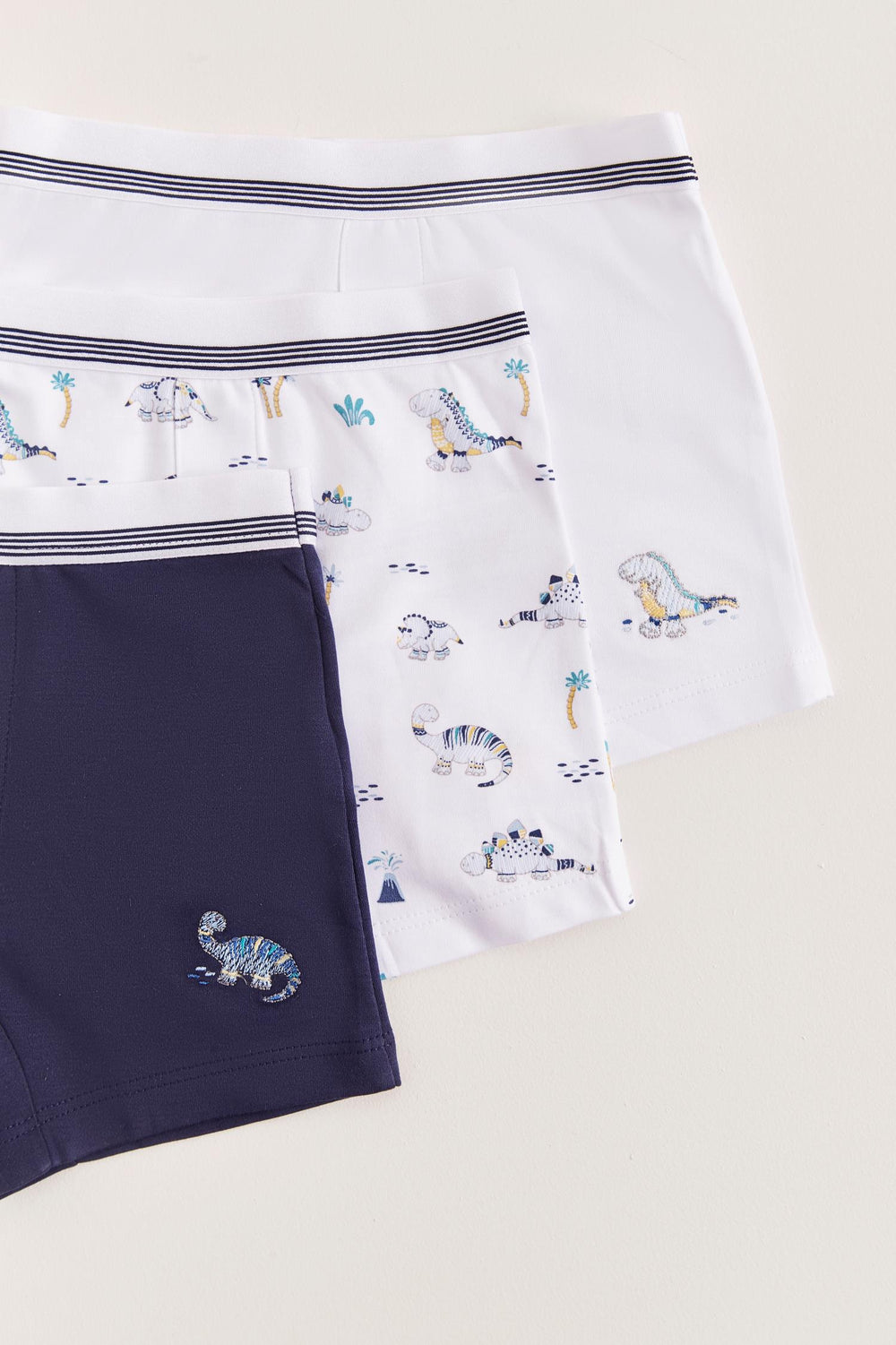 Set boxer X3 Dino S pima