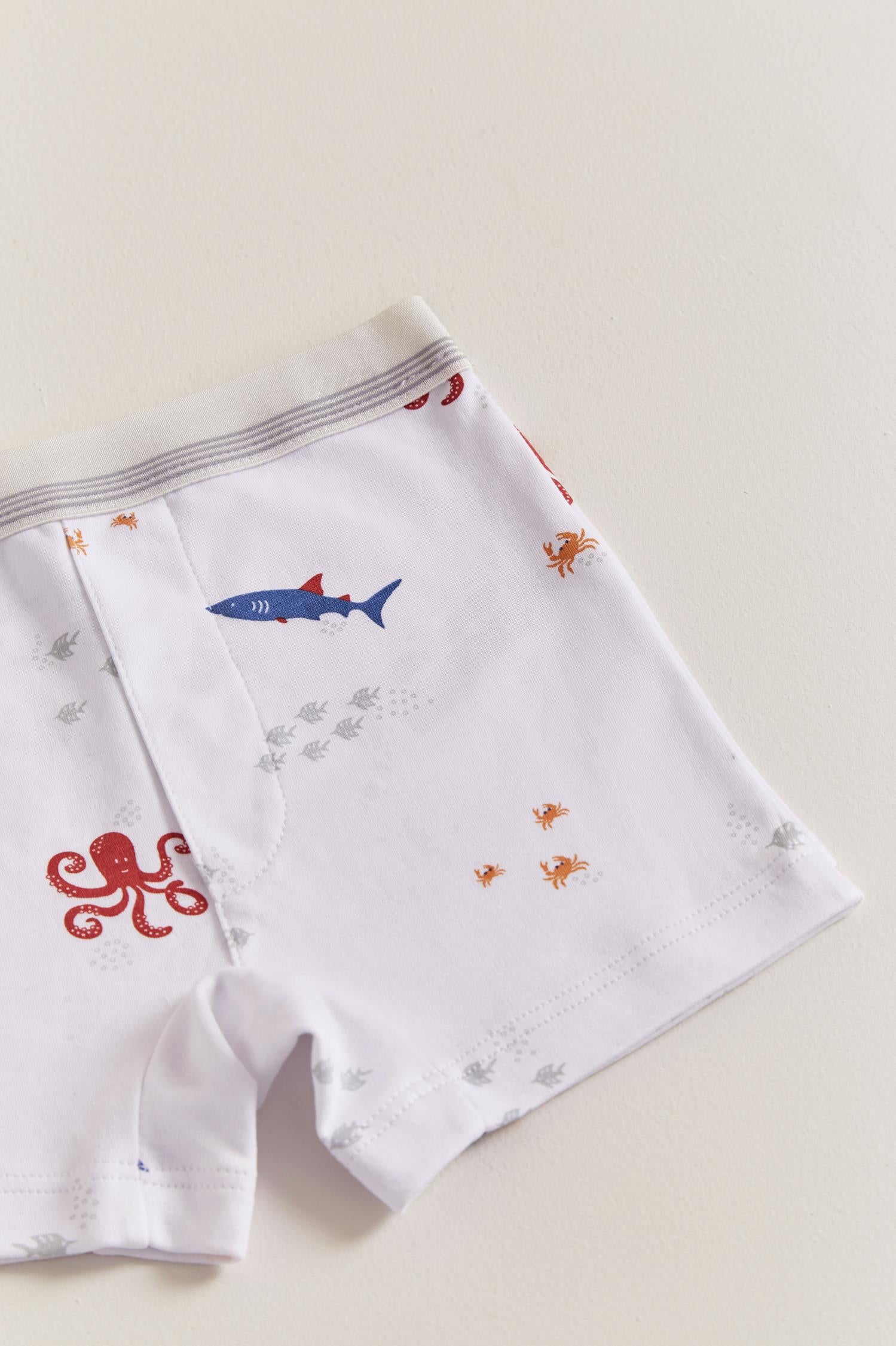 Set boxer X3 ocean pima