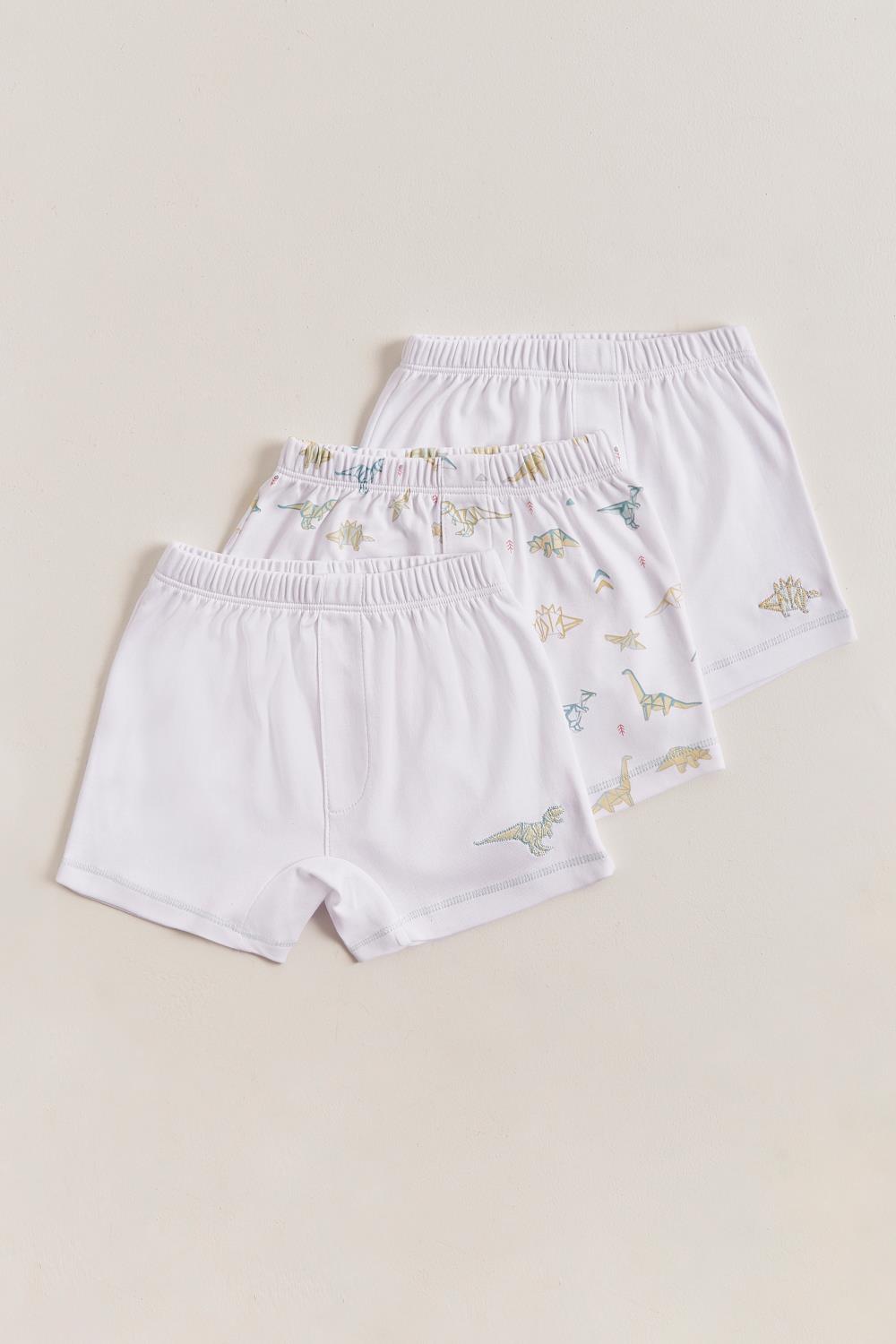Set Boxer X3 Dino Origami Pima