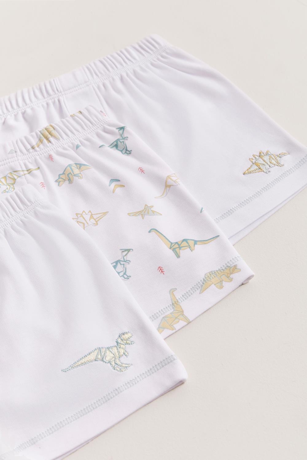 Set Boxer X3 Dino Origami Pima