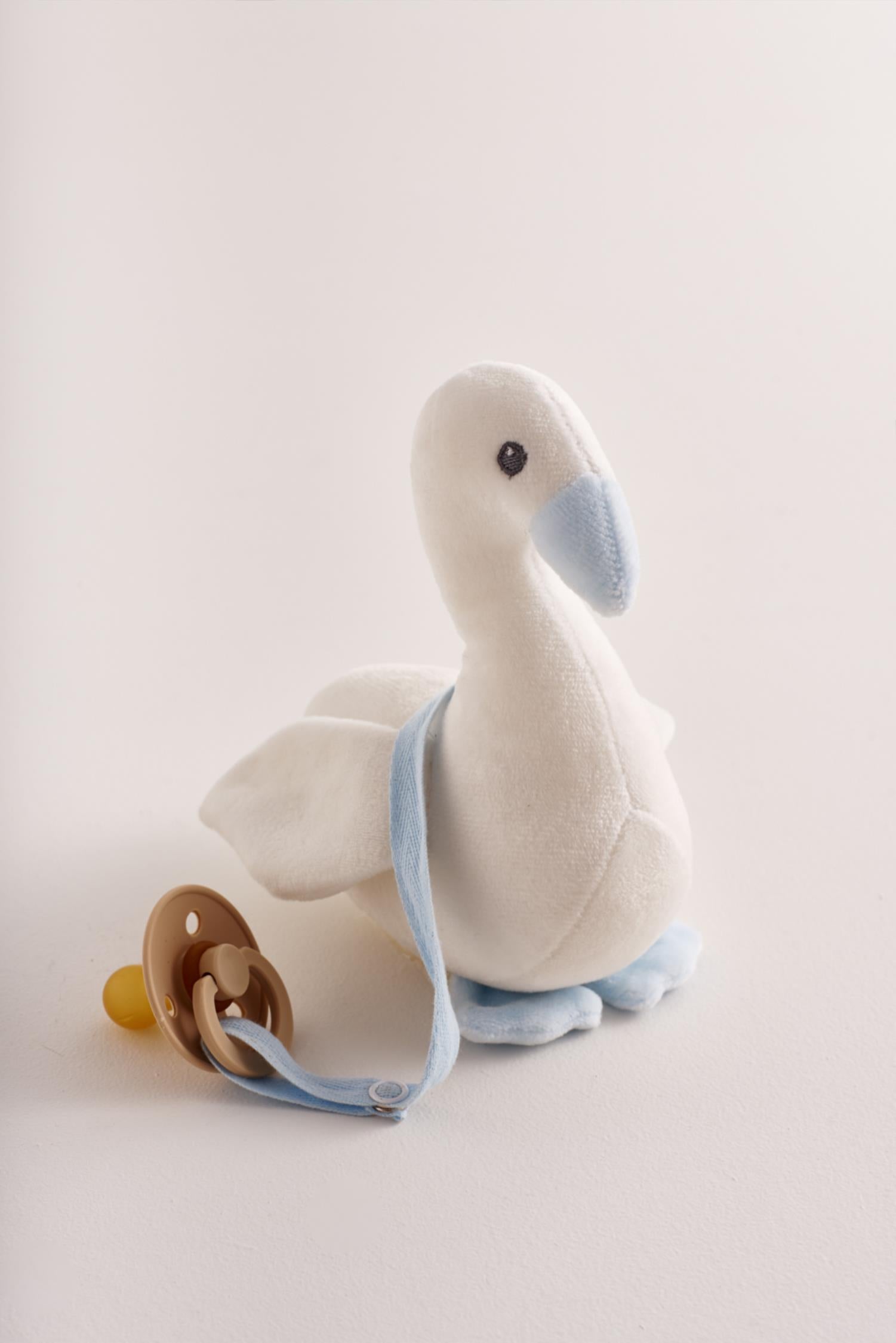Swan boy
