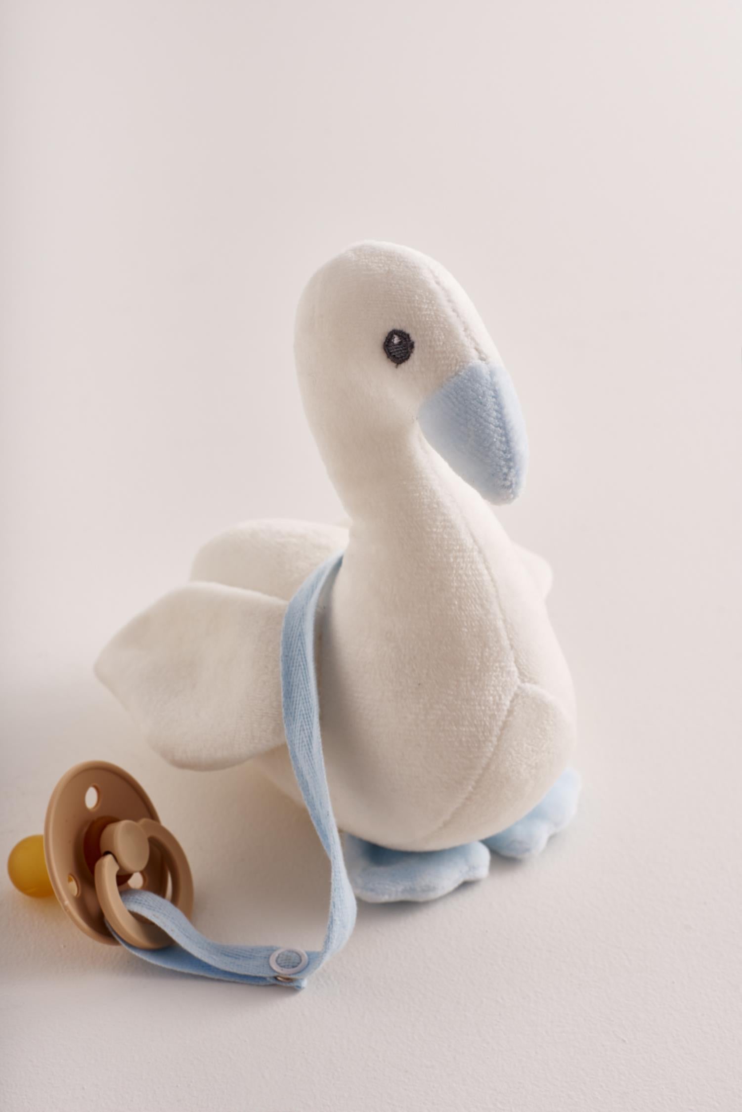 Swan boy